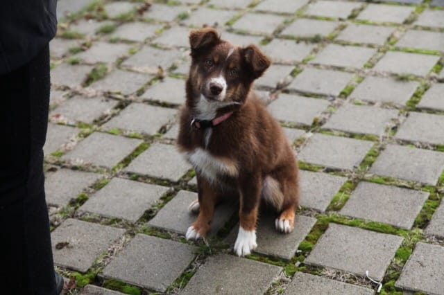 Problème de propreté 