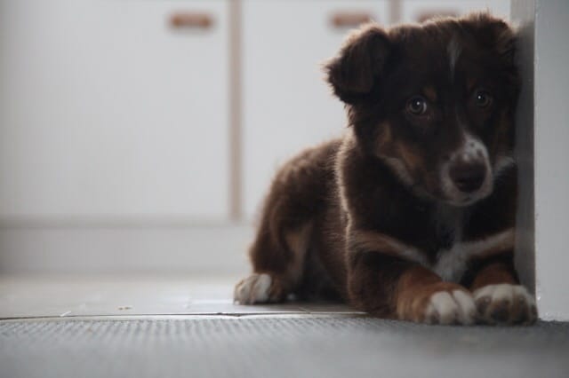 ma petite Image d'Ar Menez