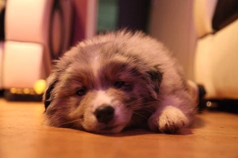 La nouvelle vie de Jamie 