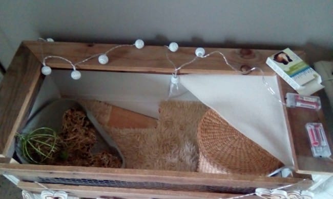 Bac à litiere + sorte de drybed