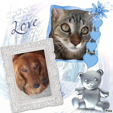 montage photo