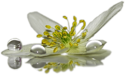 Un petit coin zen pour papoter