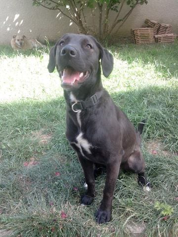 Moka, indomptée... et indomptable ?