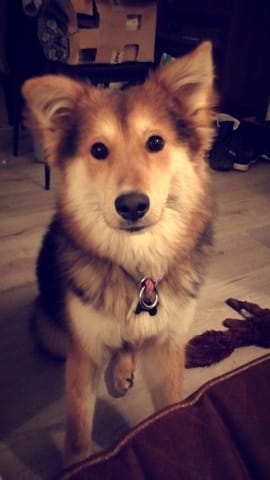 Changement de comportement