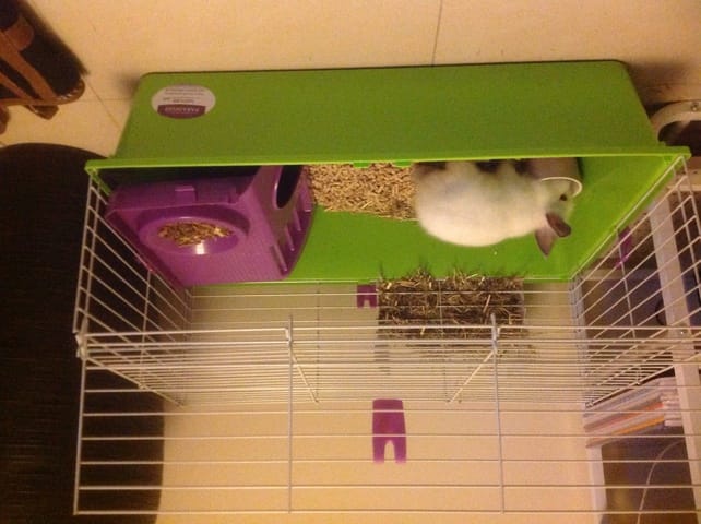 La nouvelle cage de Flocon (ma lapine)