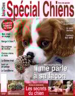 Un magazine trimestriel sur les toutous, sympa