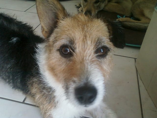 C'est l'anniversaire d'Astro !