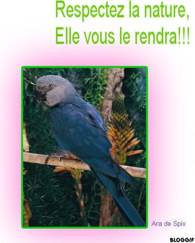 Il faut respecter l'environnement