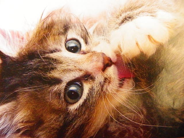 Photos craquantes