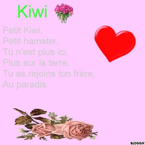 Poésie pour vos animaux décédés