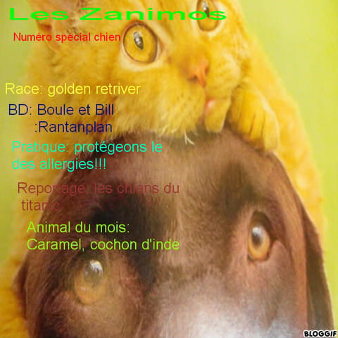 Les Zanimos