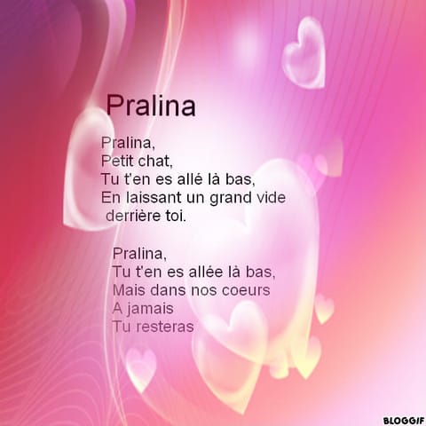 Pour Pralina-mila...