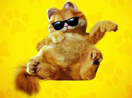 Garfield ou les Aristochats ?