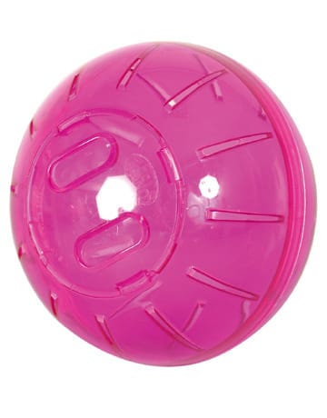 La boule d'exercice