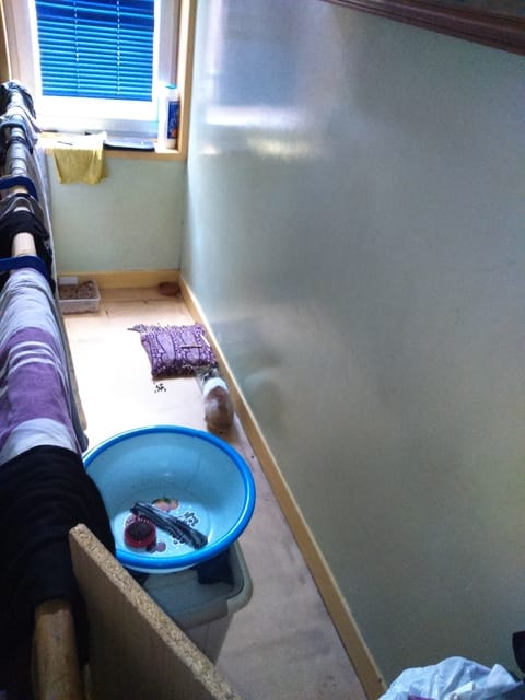 Espace de mon lapin