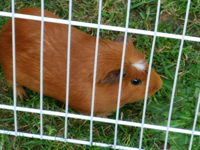 Un post réserver au photos