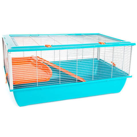 Nouvelle cage pour Oz, choix difficile