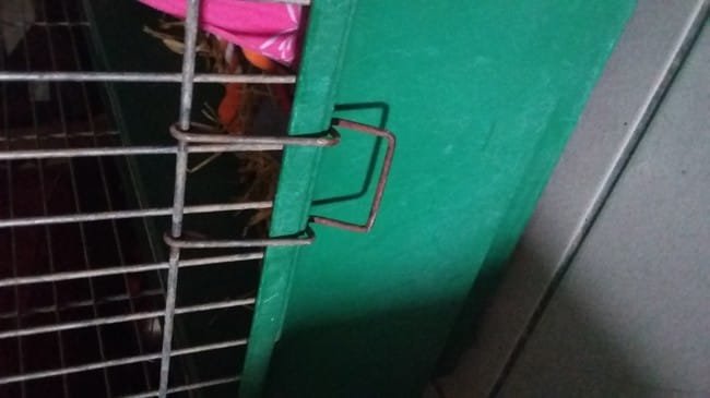 Cage qui s'ouvre ?