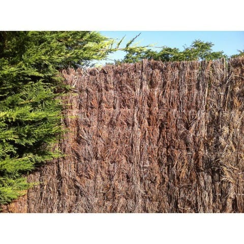 Beagle et cloture en Brande de bruyères