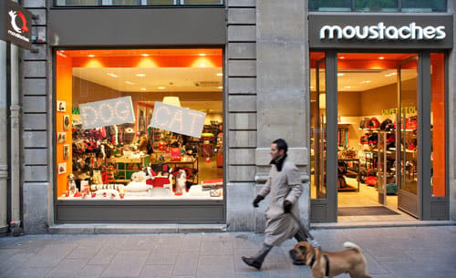 City Store pour Chiens et Chats.
