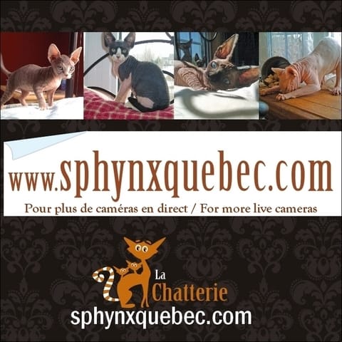 Vos mêmes problèmes en France qu'au Québec