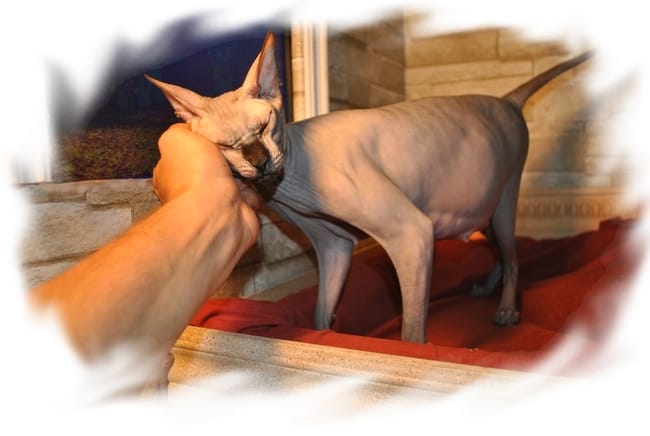 Accouchement en direct pour vous