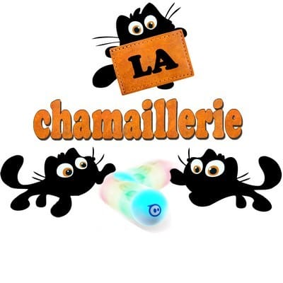 Chatons Abandonnés du Québec