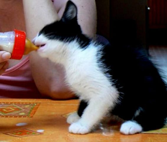 Discuter entre membres dans le respect et la bonne humeur