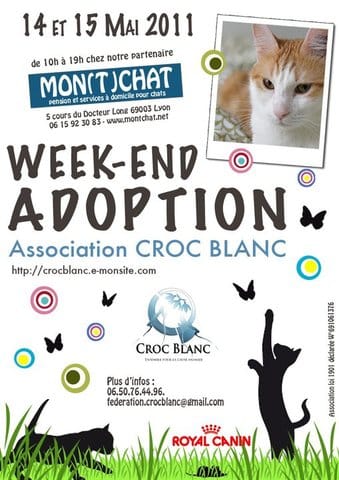 Portes ouvertes dans le 69 : adoptions ! 