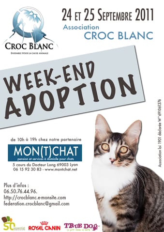 Chats à adopter les 24 & 25 septembre....LYON