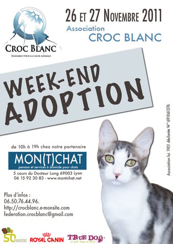 Adoptions pour ce week-end 26 & 27 novembre!!!