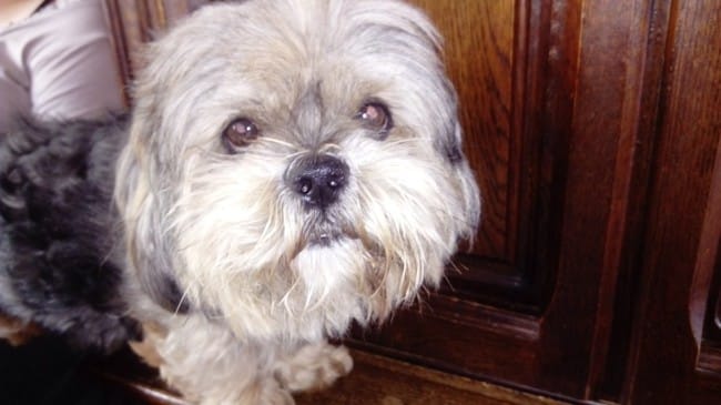 Je débarque sur Wamiz !