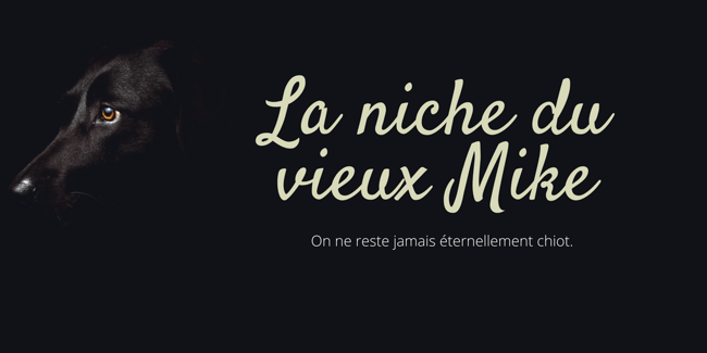 La niche du vieux Mike