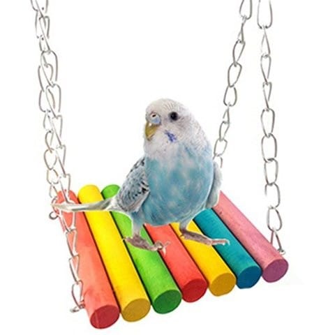 Prévention sur un jouet il a tué ma perruche