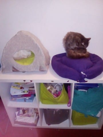 Paniers pour chats faits maison