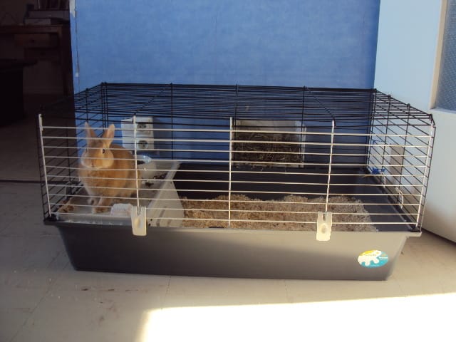 la cage de mon ti bebe