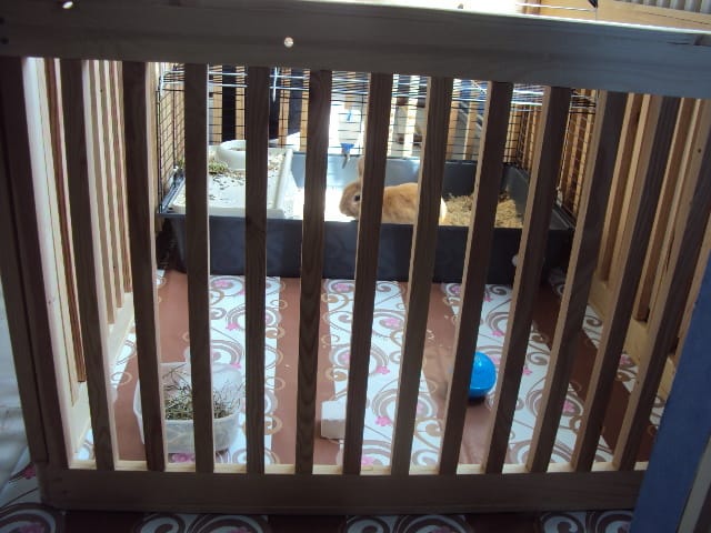 le parc de mon looky