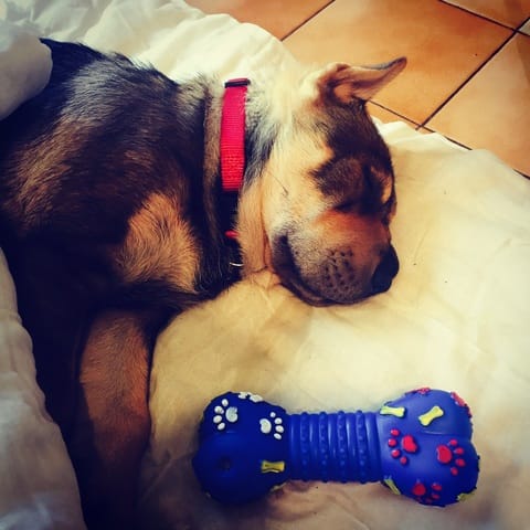 Notre nouveau petit bonheur !