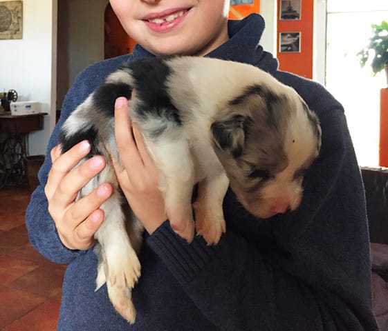 Bonjour... petite interogation avant achat...