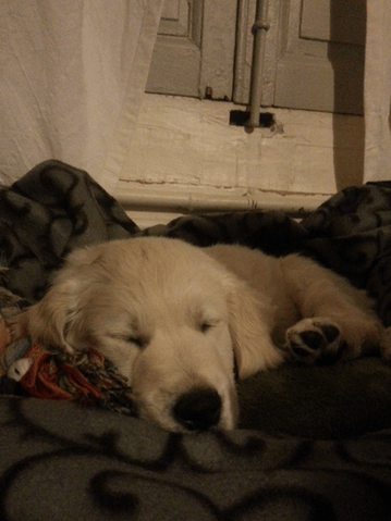 Aslan et Lou, suivez nos aventures !