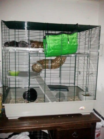 cage/volière/tera