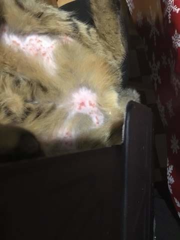 Auriez vous une idée de ce que c'est ?