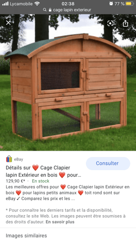 Besoins d’aide pour savoir si mon furet peu habiter dedans