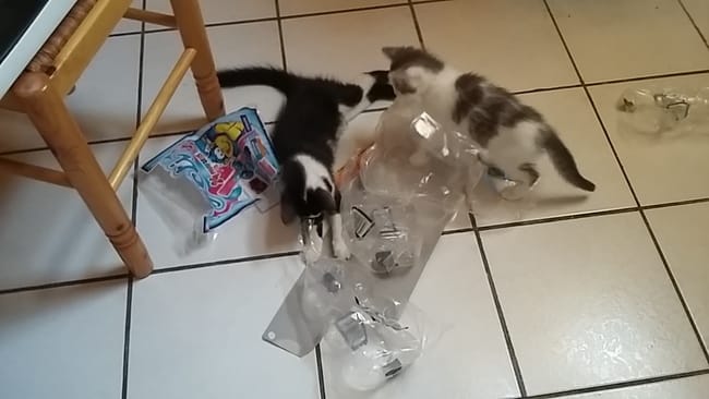 Je fais rien que des betises :p