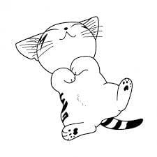 mon chat ressemble beaucoup a chi le chat