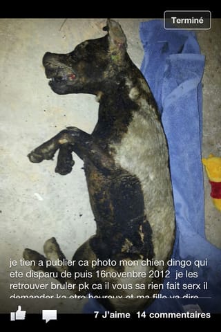 ATTENTION TORTIONNAIRE DANS LE 02  nouvelle affaire