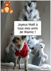 Venez voter pour la création animaux/noël