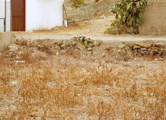 Où est le chat ?
