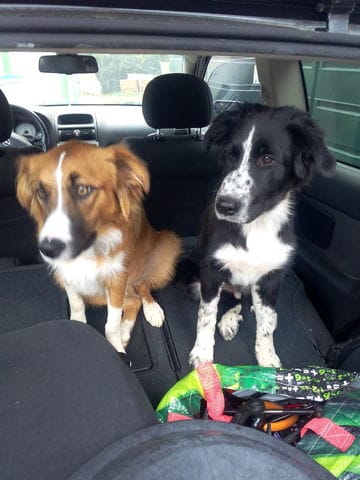 Question sur mon (petit ?!) Django