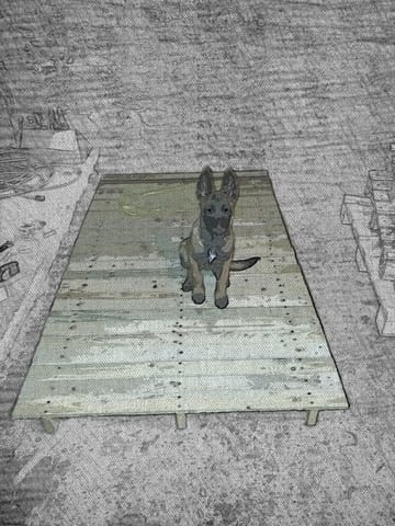 Construction d'une niche pour chien de taille moyenne